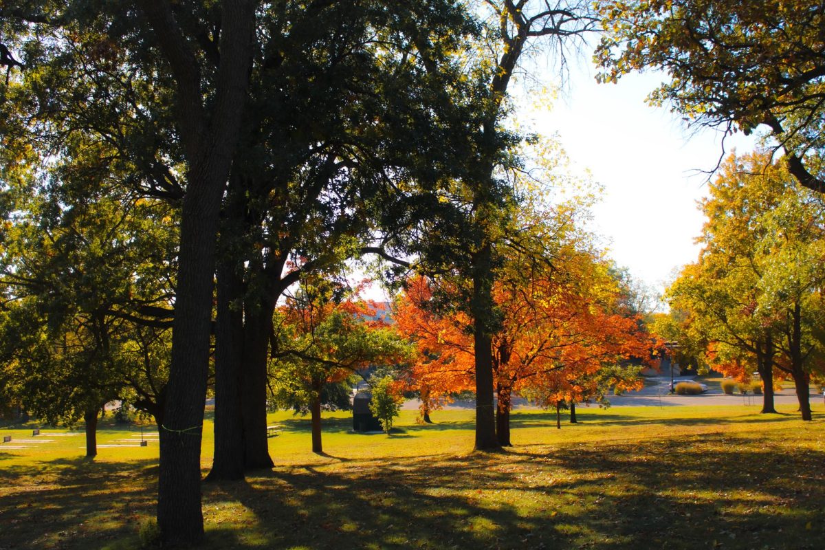 Beautiful autumn grilling weather at Starin Park, Friday Oct. 18, 2024.

