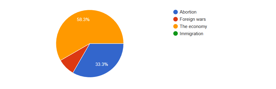 What issue is most important to you when you vote?