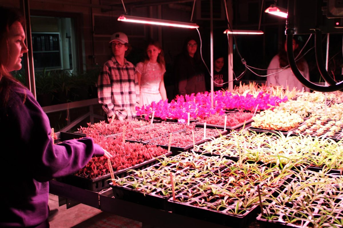 Maren McDonnell explains the process of growing succulents to new club members in greenhouse #2, January 28th, 2025.