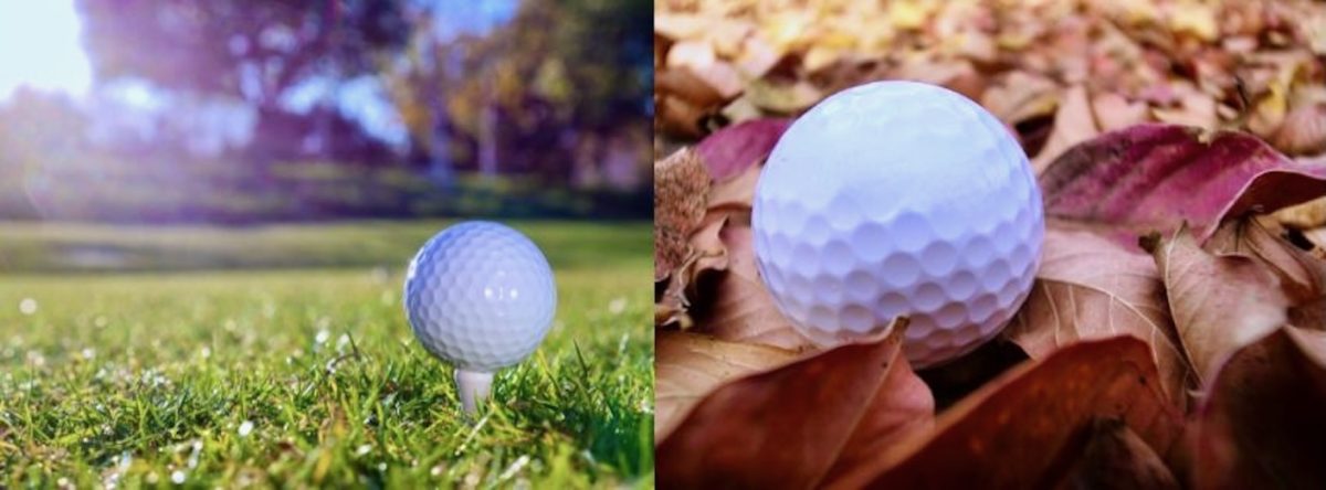 Autumn on the greens