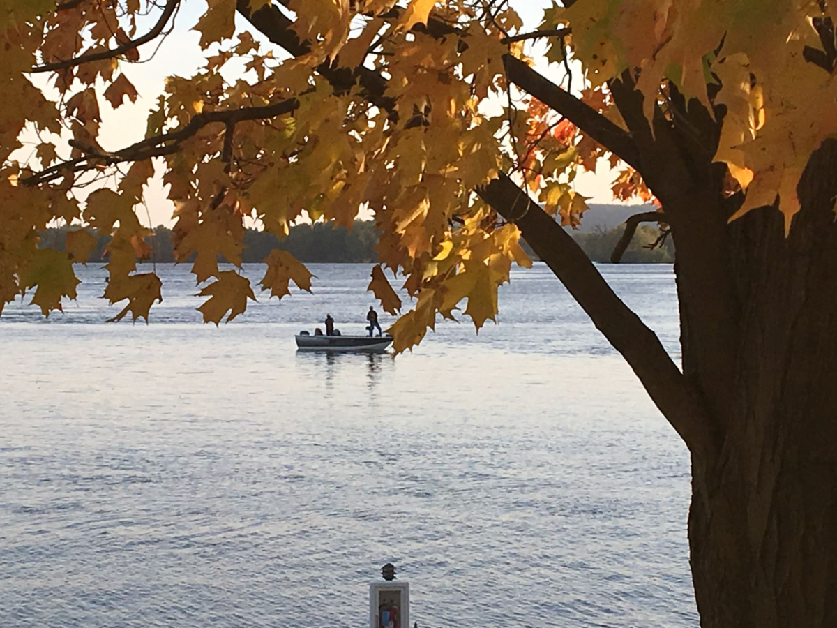 Mississippi River fishermen are framed by a yellow maple in 2017.